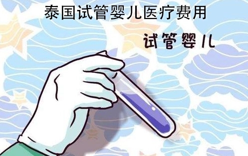 泰国试管婴儿费用 2023试管收费价目表